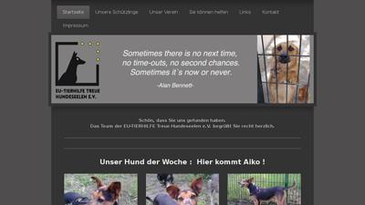 EU-Tierhilfe Treue Hundeseelen e.V.