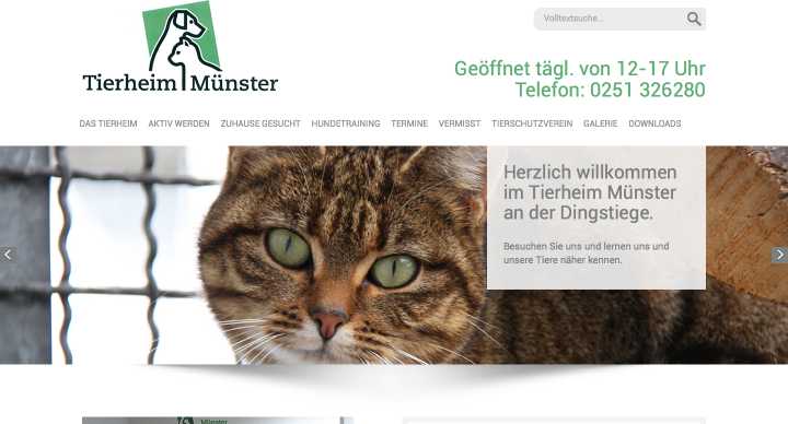 Tierschutz-Verein Münster u. Umgegend e.V. (Tierheim Münster)